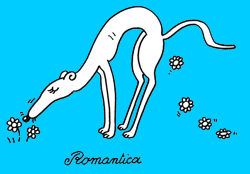 CACCA DI CANE